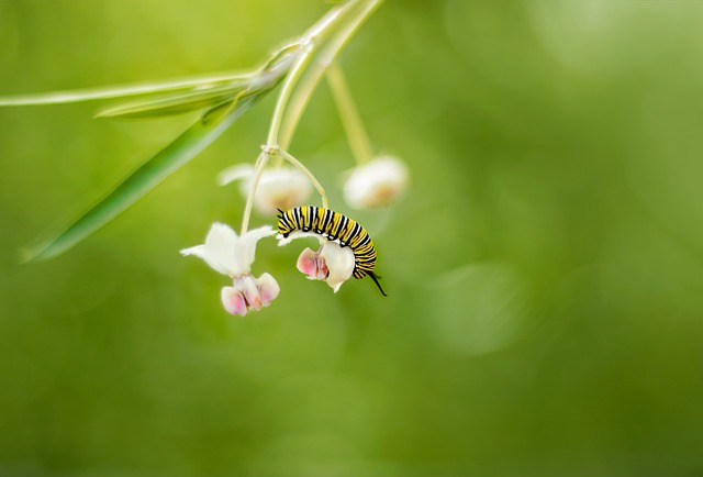Tooth Fairy Tales: Magical Transformations for Your Teeth